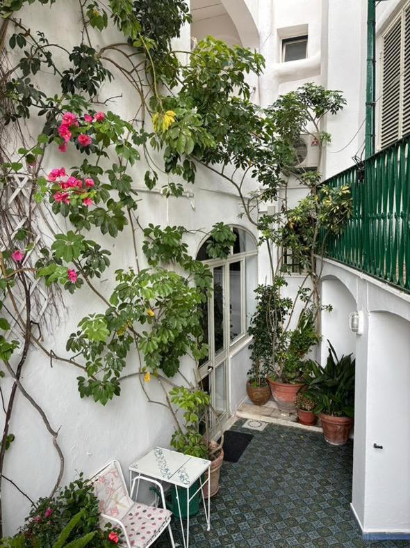 Hotel La Maggioressa كازاميتْشيولا تيرمي المظهر الخارجي الصورة